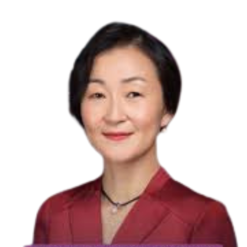 Prof. Dr. Feiyu Xu